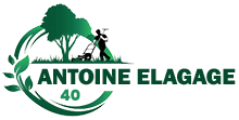 elagage-antoine-elagage